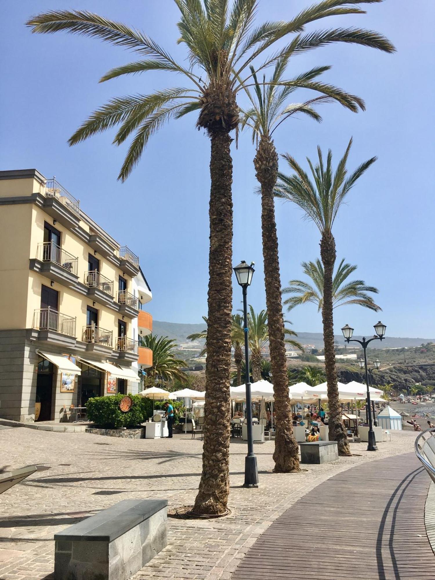 Number 5 At The Marina, Playa San Juan, South Tenerife Extérieur photo